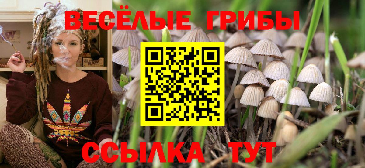 Галлюциногенные грибы Psilocybine cubensis Верхняя Пышма
