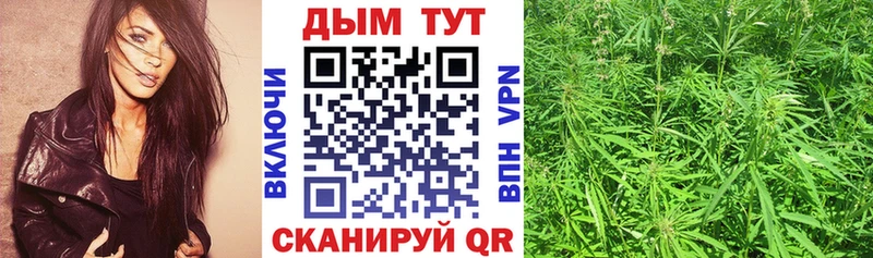 кракен сайт  Верхняя Пышма  Бошки Шишки VHQ 